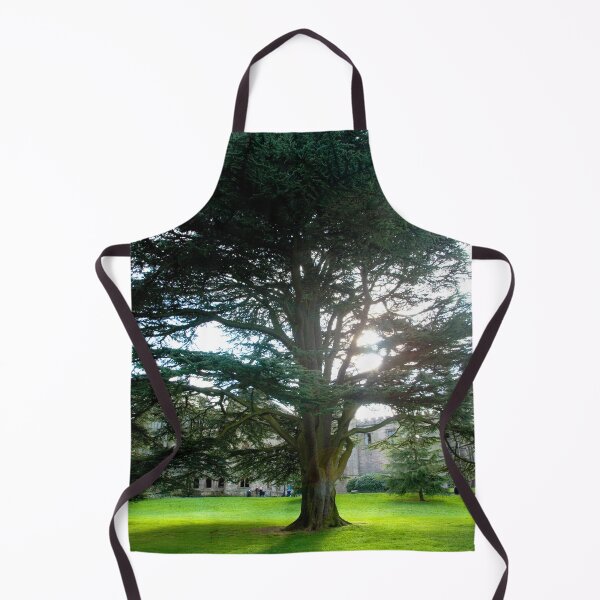 Item preview, Ancient Cedar Tree: Historic Grounds Portrait designed and sold by CCWorkfloor.