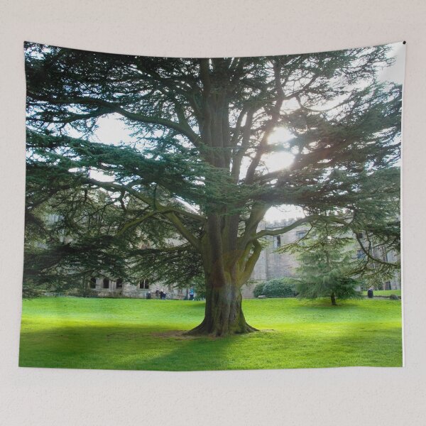 Item preview, Ancient Cedar Tree: Historic Grounds Portrait designed and sold by CCWorkfloor.