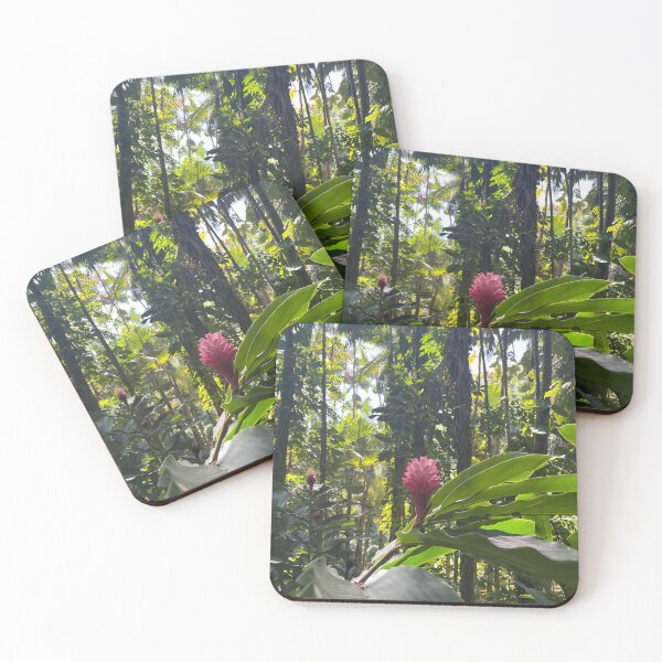 Item preview, Hawaii 5 designed and sold by brookehthomson.