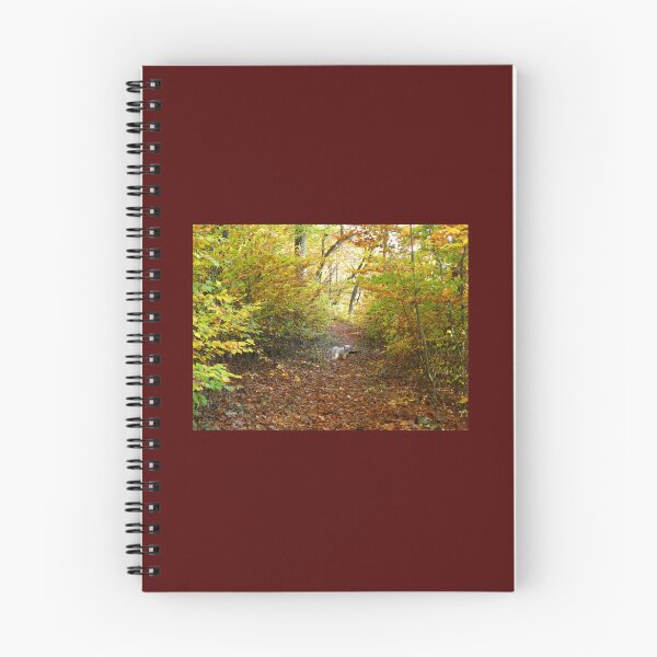Item preview, Exploring designed and sold by LeRoyM.
