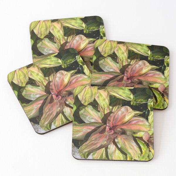 Item preview, Hawaii 6 designed and sold by brookehthomson.