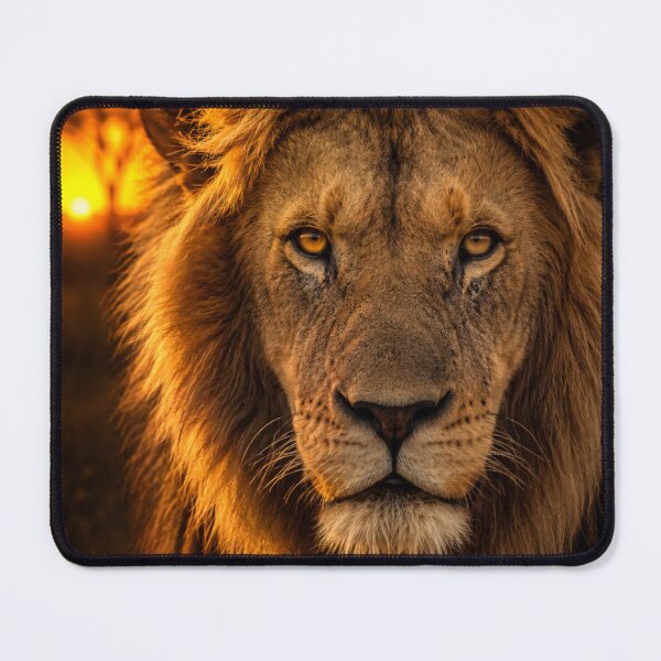 Item preview, Majestic Lion Sunset Portrait African Safari Wildlife King Art Golden Hour designed and sold by irfanshikh.