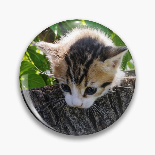 Item preview, Adorable Little Kitten on a Tree Stump designed and sold by inspiration3.