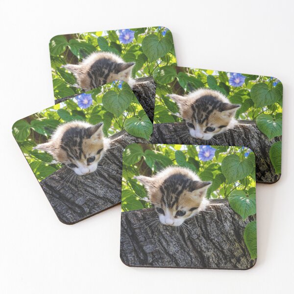 Item preview, Adorable Little Kitten on a Tree Stump designed and sold by inspiration3.