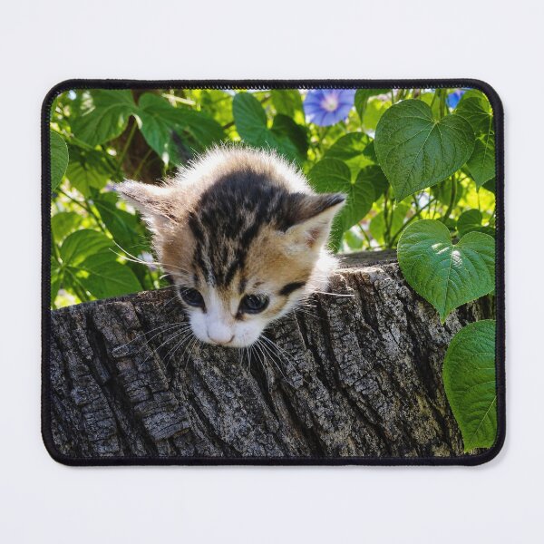 Item preview, Adorable Little Kitten on a Tree Stump designed and sold by inspiration3.