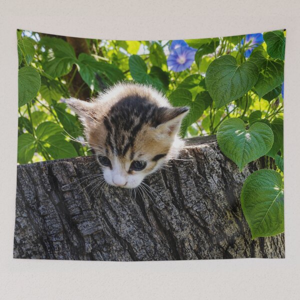 Item preview, Adorable Little Kitten on a Tree Stump designed and sold by inspiration3.