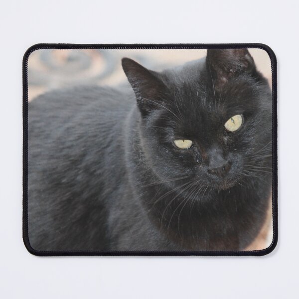 Item preview, I love “Mama” TNR designed and sold by GrudgeKitten.