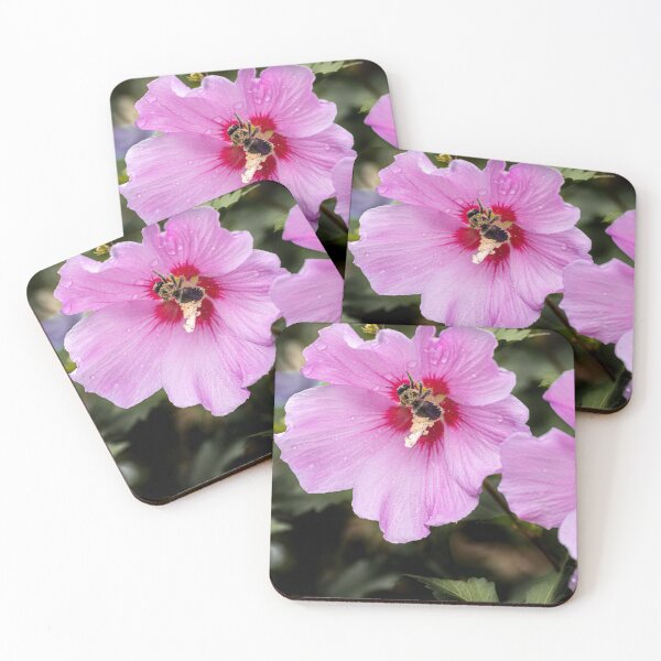 Item preview, Rose of Sharon with Bee designed and sold by AlanJayPhotos.
