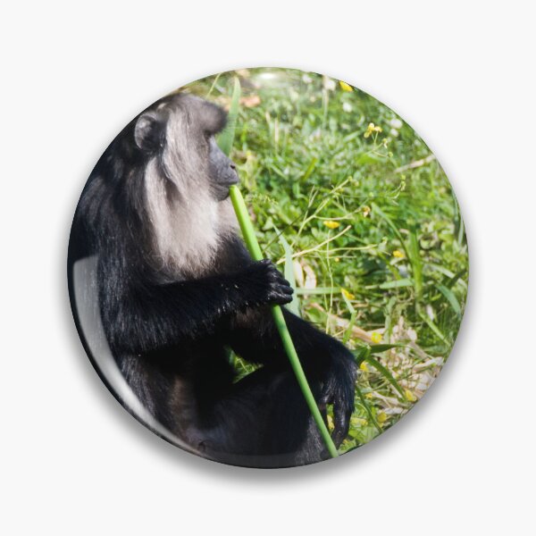 Item preview, Thoughtful Monkey designed and sold by CCWorkfloor.
