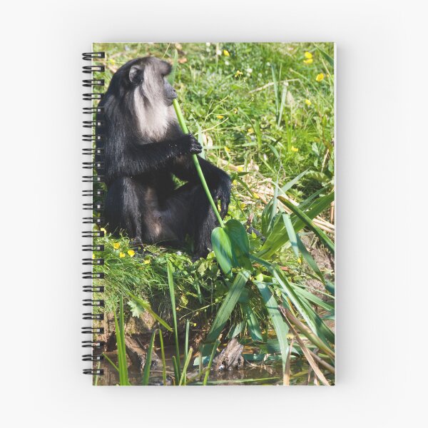 Item preview, Thoughtful Monkey designed and sold by CCWorkfloor.