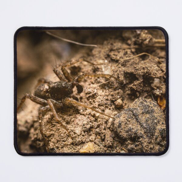 Item preview, Camouflage — Wolf Spider on Soil and Gravel designed and sold by Rabee Khalil Photography.