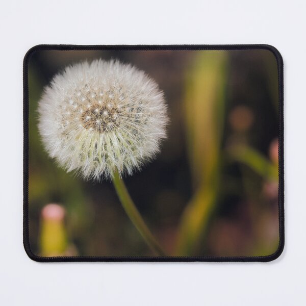 Item preview, Dandelion Seed Head Macro with Soft Bokeh designed and sold by RastislavS.