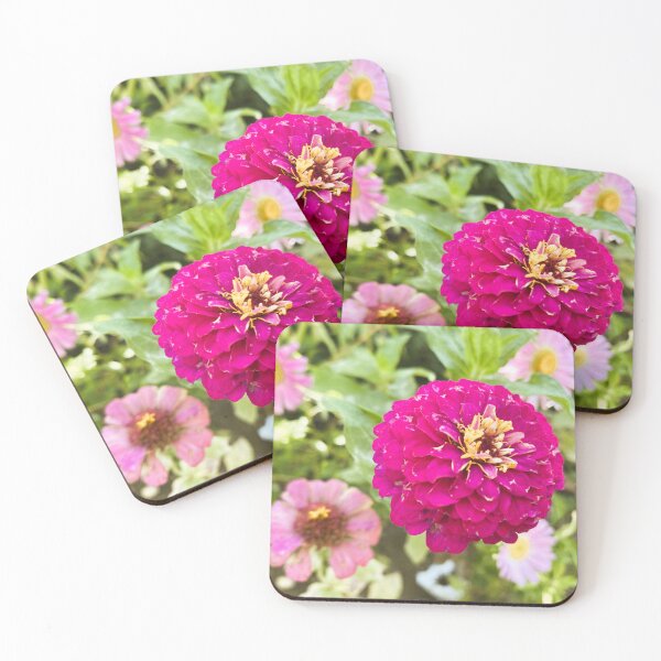 Item preview, Vibrant Pink Zinnia Flower in Garden designed and sold by BalkanBloom.