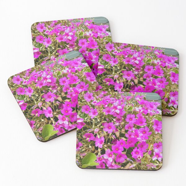 Item preview, Lush Cluster of Pink Wood Sorrel Flowers in Garden designed and sold by BalkanBloom.