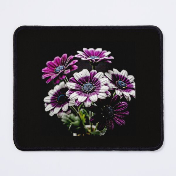 Item preview, Pericallis Dreams — Where Nature Blooms Like Living Art #14 designed and sold by Helios Be. Lavsh.