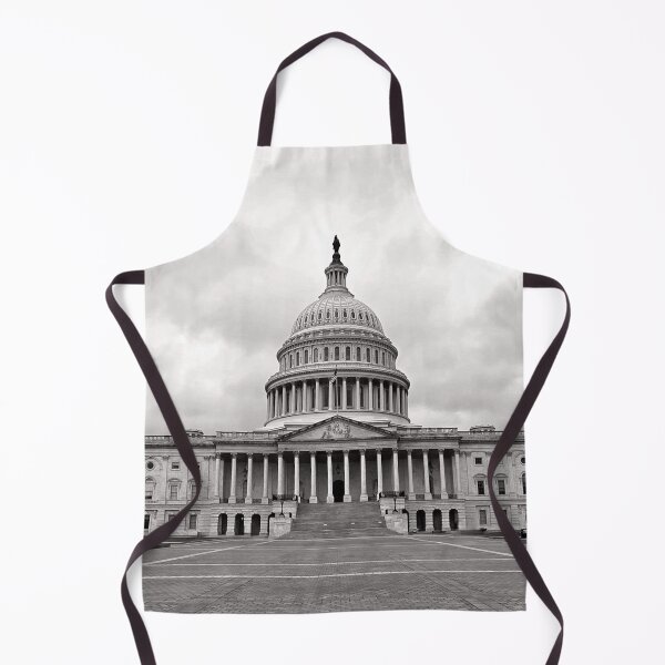 Item preview, Panorama of Capitol Washington designed and sold by NikaNavi.