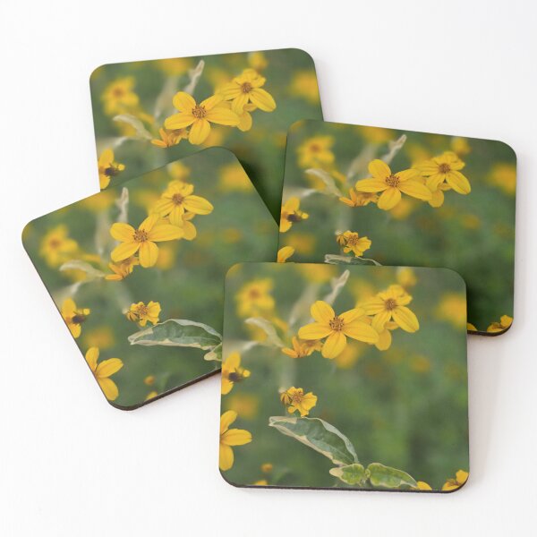Item preview, Bidens aristosa designed and sold by NikaNavi.