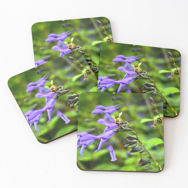 Item preview, Salvia guaranitica designed and sold by NikaNavi.