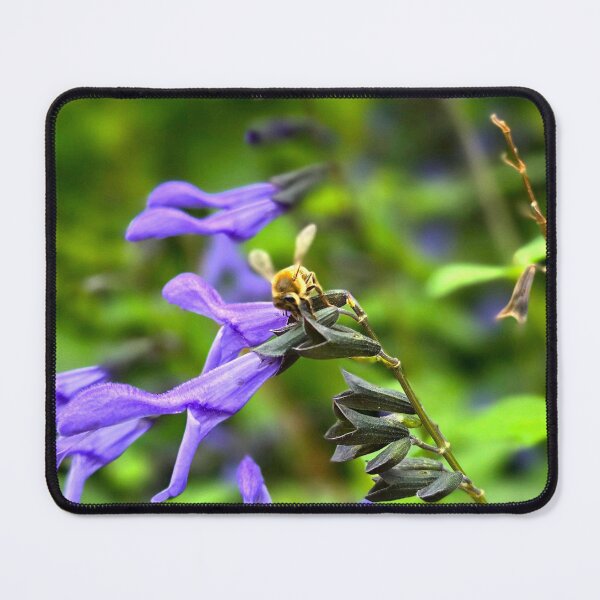 Item preview, Salvia guaranitica designed and sold by NikaNavi.