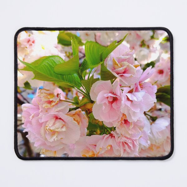 Item preview, Prunus serrulata designed and sold by NikaNavi.
