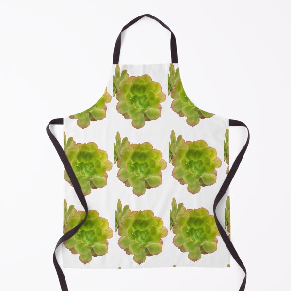 Item preview, Vibrant Echeveria Succulent with Rosy Edges designed and sold by BalkanBloom.