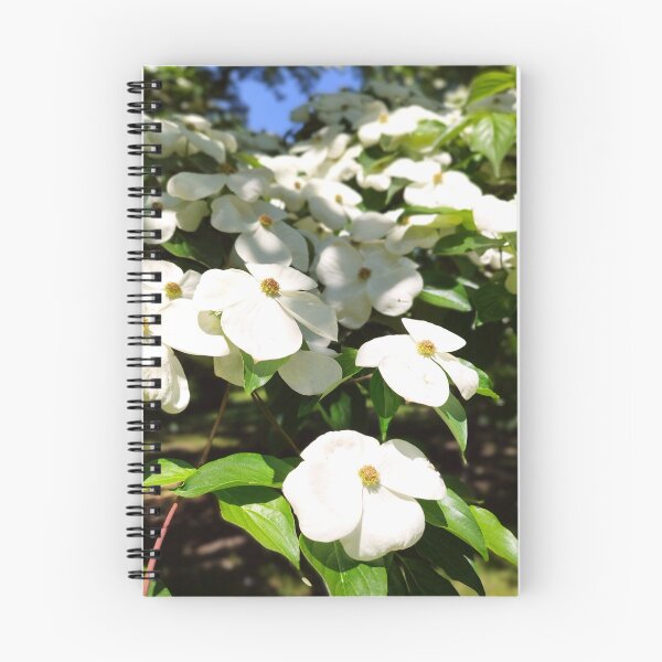 Item preview, Cornus florida designed and sold by NikaNavi.