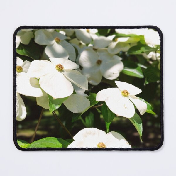 Item preview, Cornus florida designed and sold by NikaNavi.