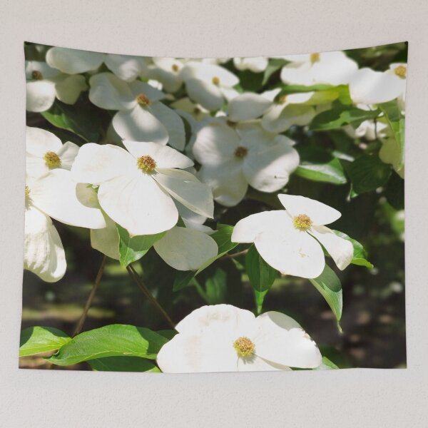 Item preview, Cornus florida designed and sold by NikaNavi.