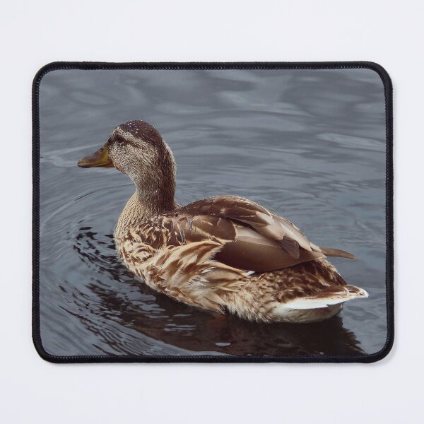 Item preview, Mallard №1 designed and sold by NikaNavi.