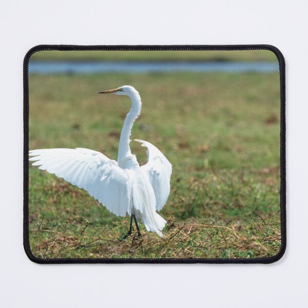 Item preview, The Conductor designed and sold by Kay Brewer.