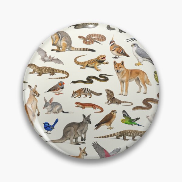 Item preview, Animals of the Australian Outback Retro Identification Chart designed and sold by kakarikihill.