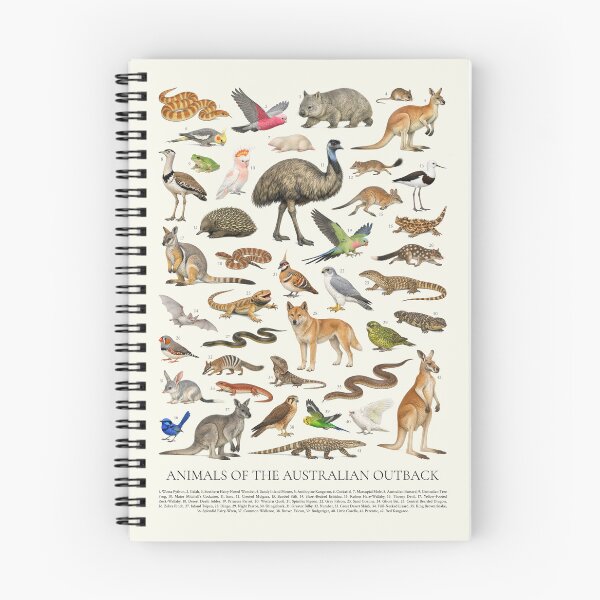 Item preview, Animals of the Australian Outback Retro Identification Chart designed and sold by kakarikihill.
