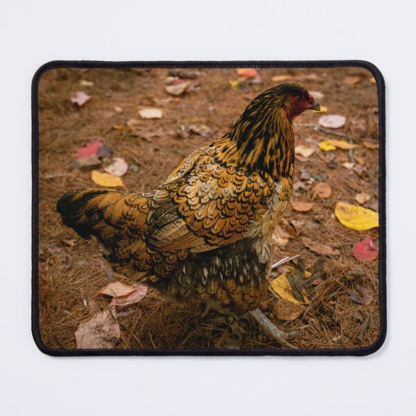 Item preview, Golden Wyandotte Hen designed and sold by MDCCo.