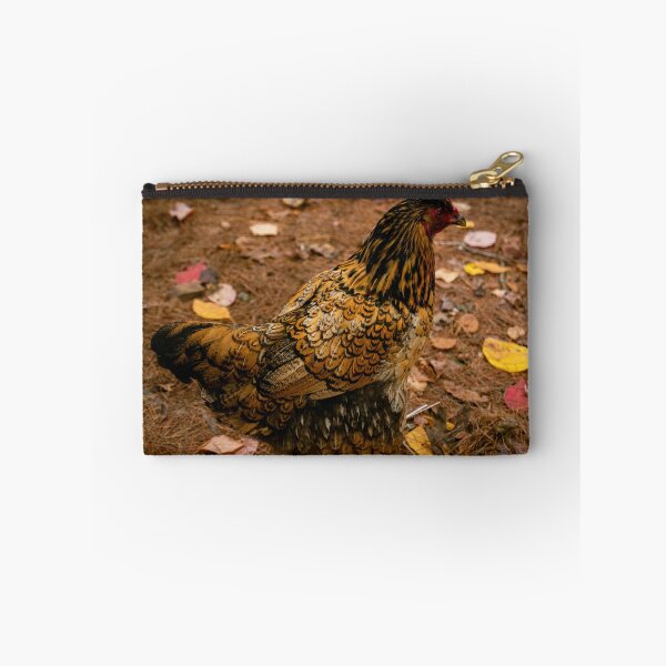 Aperçu de l'œuvre Poule Wyandotte dorée créée et vendue par MDCCo.