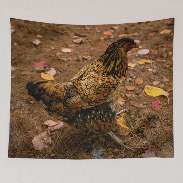 Item preview, Golden Wyandotte Hen designed and sold by MDCCo.