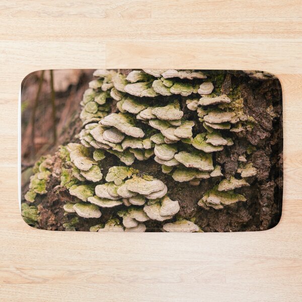 Item preview, Turkey Tail Fungi on Tree Bark | Forest Mushroom Nature Photo Print designed and sold by MDCCo.