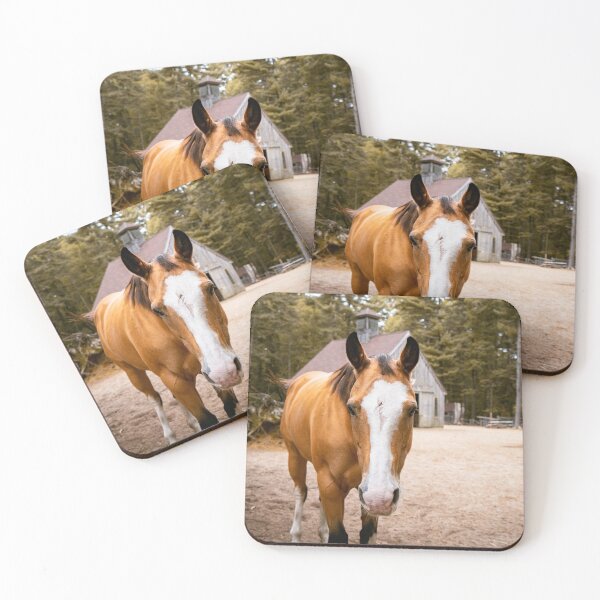 Item preview, Palomino Horse Portrait | New England Farm Barn Photo Print designed and sold by MDCCo.