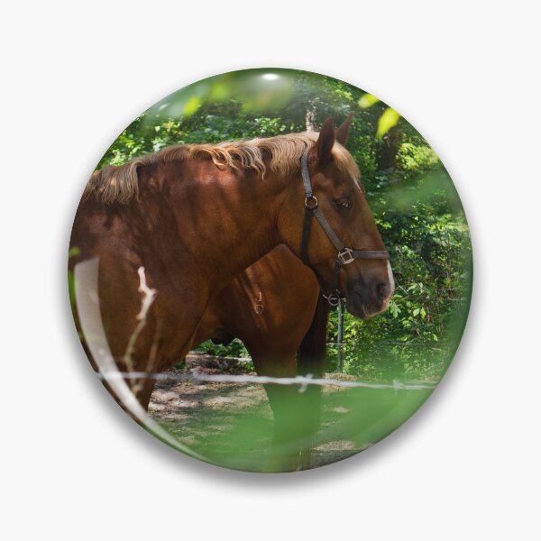 Item preview, Chestnut Horse in Summer Forest | New England Farm Animal Photo Print designed and sold by MDCCo.