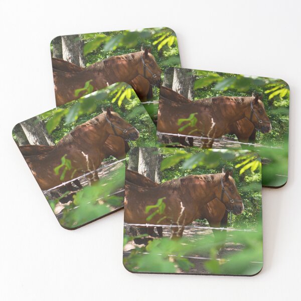 Item preview, Chestnut Horse in Summer Forest | New England Farm Animal Photo Print designed and sold by MDCCo.