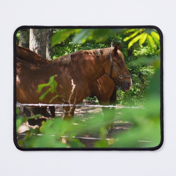 Item preview, Chestnut Horse in Summer Forest | New England Farm Animal Photo Print designed and sold by MDCCo.