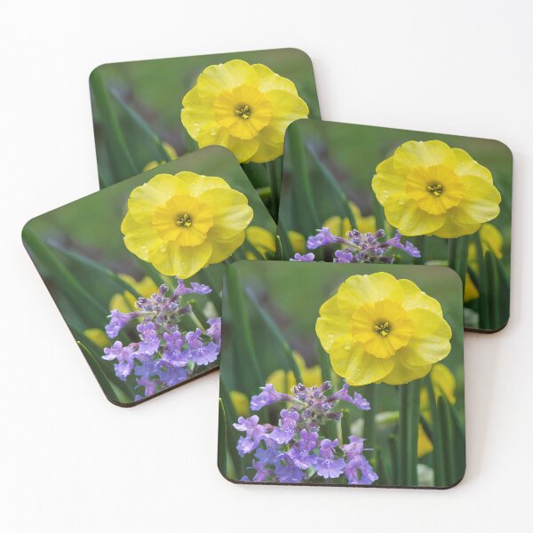 Item preview, Daffodil's Regal Purple Consort - Botanical Photography  designed and sold by Susarellis.