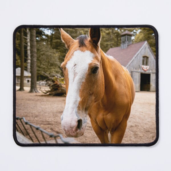 Item preview, Palomino Horse Close Up Portrait | Rustic Barn Farm Photo Print designed and sold by MDCCo.