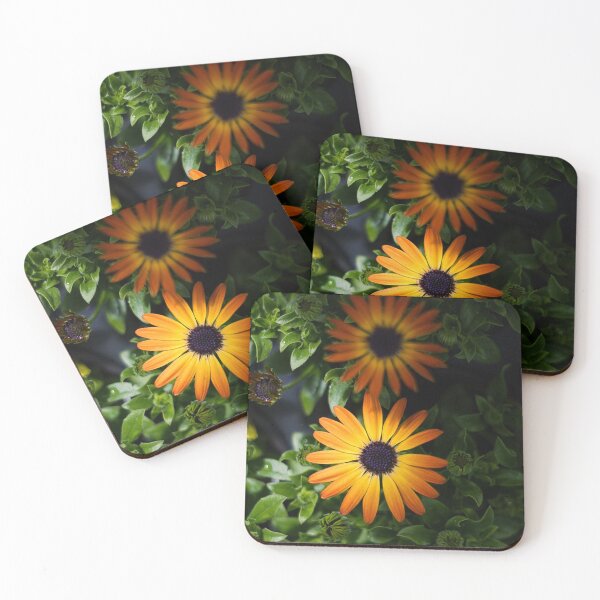 Item preview, Orange African Daisy Flowers | Bold Floral Botanical Photo Print designed and sold by MDCCo.