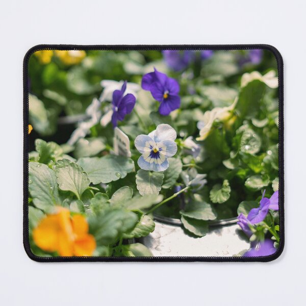 Item preview, Purple and Yellow Pansy Garden | Spring Floral Botanical Photo Print designed and sold by MDCCo.