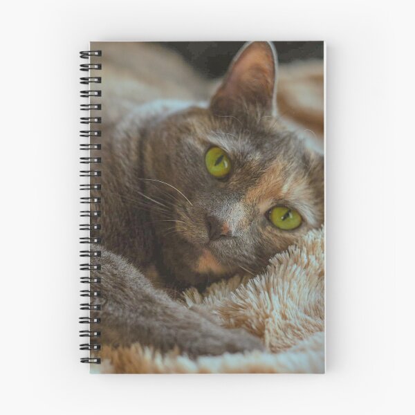 Item preview, Tortoiseshell Cat Portrait | Green Eyes Cozy Cat Photo Print designed and sold by MDCCo.