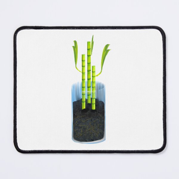 Item preview, 3 Bamboo sticks in vase designed and sold by Budibabe.