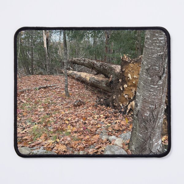 Item preview, Timber! designed and sold by Created by B.