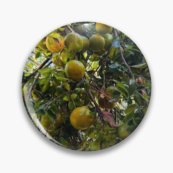 Item preview, Earthy Mumford And & Sons dGreen Moments designed and sold by Ritahiking.