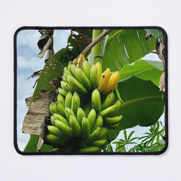 Item preview, Organic Mumford And & Sons Fresh Horizons designed and sold by Ritahiking.