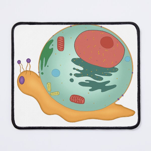 Item preview, Cell snail designed and sold by Elvira  Walsh.